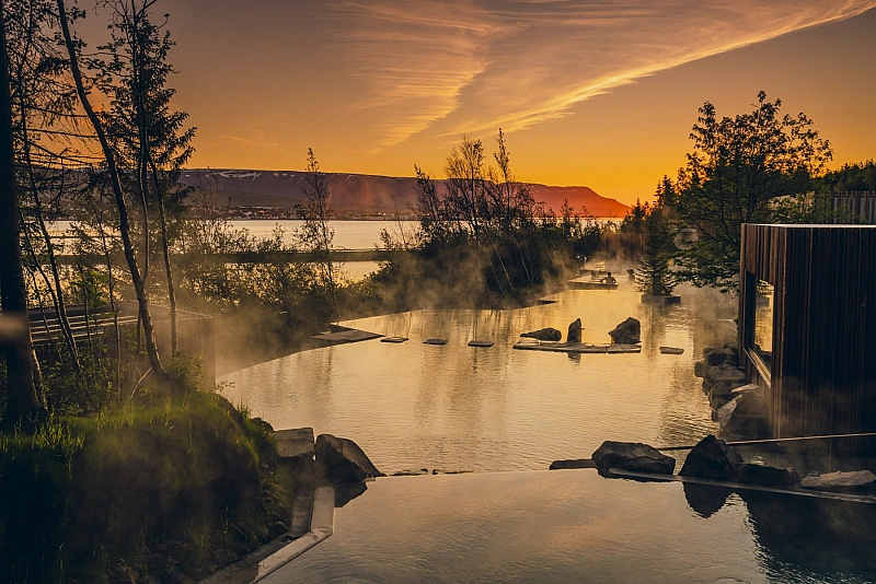 Forest Lagoon in North Iceland