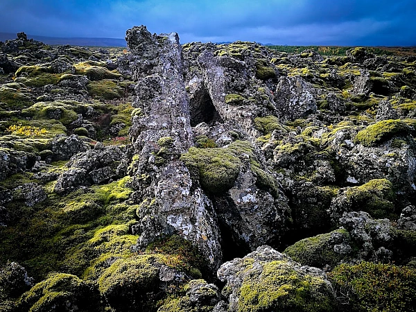 Lava field in Iceland